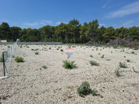 Građevinsko zemljište 659 M2, Bilice - pripremljeno za gradnju