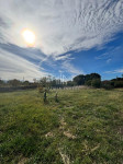 Građevinsko zemljište 768 m2