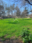 Građevinsko zemljište 774m2 - Vrsi, blizina centra
