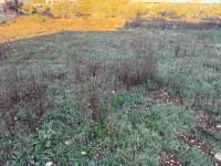 Građevinsko zemljište- 811m2 -200m od mora