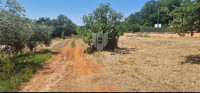 Građevinsko zemljište 868 m² u Vižinadi – idealno za vilu ili obiteljs