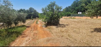 Građevinsko zemljište 961 m² s pristupnim putom