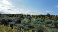 Građevinsko zemljište, Bale, 1.928 m2