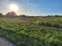 Građevinsko zemljište, Bizovac, 9480 m2