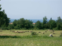 GRAĐEVINSKO ZEMLJIŠTE BLIZU KAMPA!!