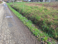 Građevinsko zemljište, Cerje Letovanićko, 4886 m2