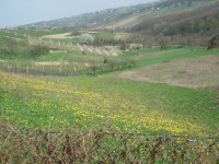 GRAĐEVINSKO + POLJOPRIVREDNO ZEMLJIŠTE 9000 m² – VARAŽDIN BREG!!