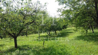 Građevinsko zemljište, Krušljevo Selo, 4950 m2