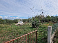 Građevinsko zemljište sa maslenikom ,Debeljak-Sukošan1023 m2
