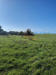 *Građevinsko zemljište u Medulinu, 1450m2*