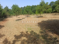 Građevinsko zemljište na mirnoj lokaciji, Istra