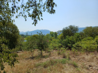 PRODAJEM: Građevinsko zemljište, Orah-VRGORAC