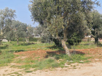 Građevinsko zemljište u Peroju, 778 m2