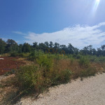 *Građevinsko zemljište u Peruškima 656m2*