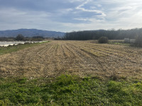 Građevinsko zemljište, Pojatno, 15368 m2