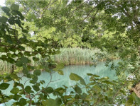 Građevinsko zemljište, Posedarje 6800 m2