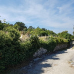 GRAĐEVINSKO ZEMLJIŠTE, PRODAJA, BRAČ, NEREŽIŠĆA, 2.343 m2
