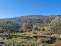 Građevinsko zemljište PRODAJA donja Jagodnja 1977 m2