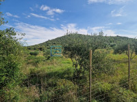 Građevinsko zemljište PRODAJA Donja Jagodnja, 977 m2