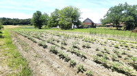 GRAĐEVINSKO ZEMLJIŠTE, PRODAJA, STUPNIK, HORVATI 1.800 m2