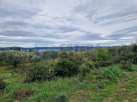 Građevinsko zemljište PRODAJA Sveti Filip i Jakov 3467 m2, 400 m od mo