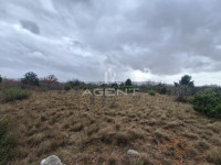 Građevinsko zemljište- Starigrad, 975 m2 - osama