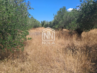 GRAĐEVINSKO ZEMLJIŠTE TURANJ 2000 M2