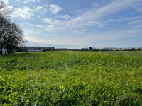 Građevinsko zemljište, Varaždin, 6536 m2