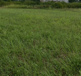 Građevinsko zemljište, Novi Zagreb 10000 m2