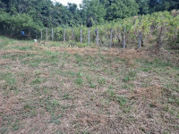 Građevinsko zemljište, Zagreb (Bijenik), 1019 m2