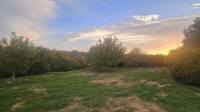 Građevinsko zemljište, Zagreb-Kustošija 698m2, BEZ PROVIZIJE ZA KUPCA!