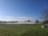 Građevinsko zemljište, Zagreb (Odra), 958 m2