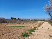 GRBE - građevinsko zemljište 629 m2