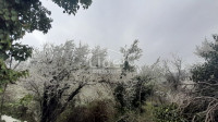 HRELJIN, BAKAR-SAMOSTOJEĆA KAMENA KUĆA 120M2