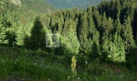 HRELJIN - poljoprivredno zemljište od 10 590 m2