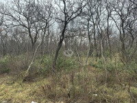 Hrvatska, Posedarje, Slivnica, Građevinsko zemljište 3350 m2