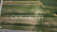 Hrženica, Hrženica, 5.923,68 m2, 23.694,74 EUR