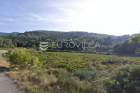 Hvar, Dol, poljoprivredno zemljište, 3.505 m2