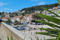 Hvar, Zastražišće, 44.000 m2 za OPG