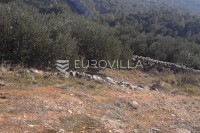 Hvar, Zastražišće, poljoprivredno zemljište, s pogledom na more