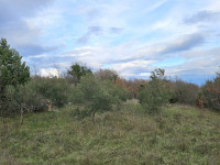 Industrijska zona Galižana - za proizvodnju i skladišta