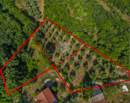 Prilika za investiciju – građevinsko zemljište s maslinikom, okolica M
