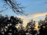 Za investiciju Istra blizina mora 8 000 m2 građevinskog zemljišta!