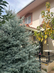 Isključivo posredovanje: Kuća: Stobreč, 398.00 m2