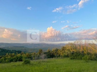 Istra 20.000 m2 poljoprivredno zemljište u okolici Buzeta!