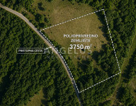 Istra, Baderna - poljoprivredno zemljište 3750m2