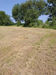 Istra, Baderna, poljoprivredo zemljište, 4.122m2