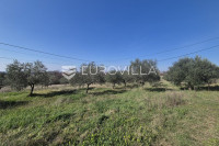 Istra, Bale, građevinsko i poljoprivredno zemljište s pogledom na more