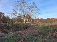 ISTRA, BALE - Građevinsko zemljište u okolici