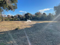 Istra, Bale, poljoprivredno zemljište 8000 m2